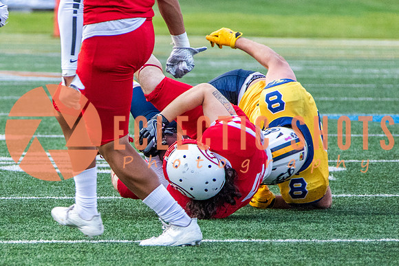 CalgaryColts-2652