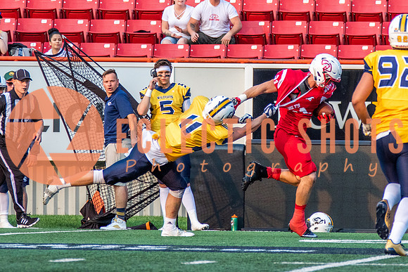 CalgaryColts-2658