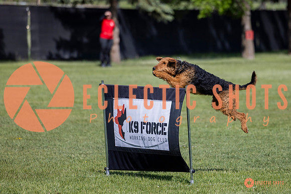 2025-K9Force-MayExams-7359