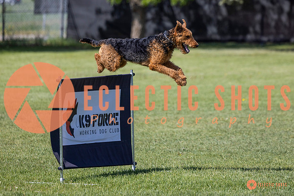 2025-K9Force-MayExams-7382