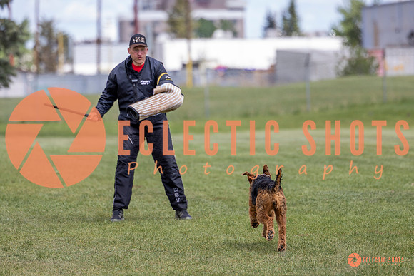 2025-K9Force-MayExams-7839