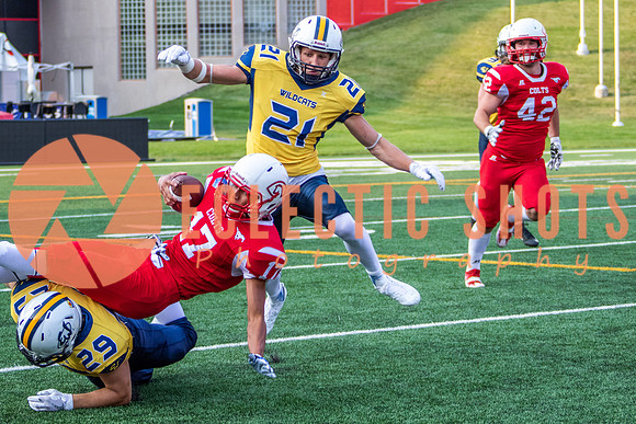 CalgaryColts-2532