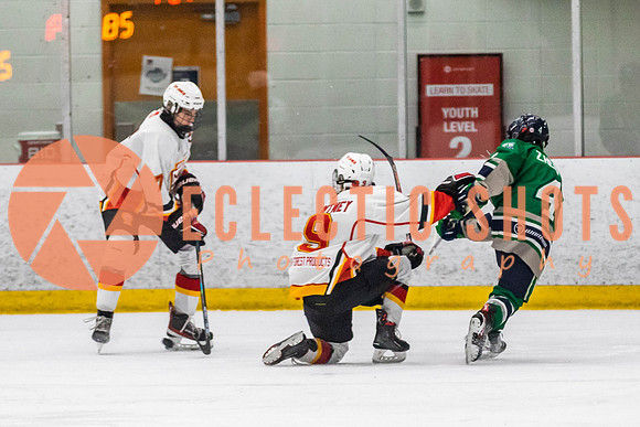 2022.11.09CalFlames-FVTBirds-0456