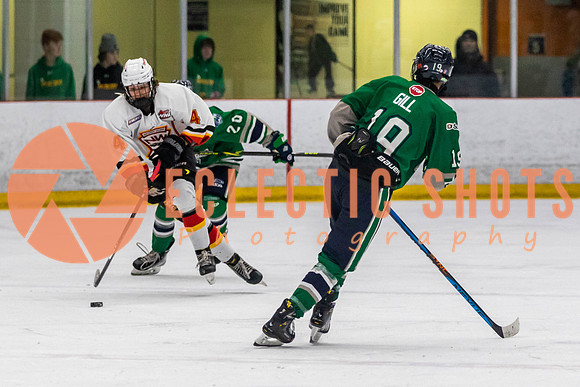 2022.11.09CalFlames-FVTBirds-0381