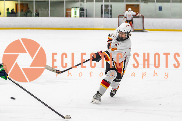 2022.11.09CalFlames-FVTBirds-0439