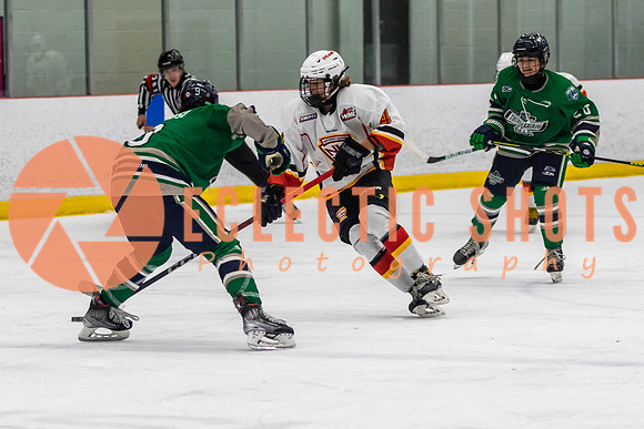 2022.11.09CalFlames-FVTBirds-0387
