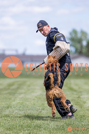 2025-K9Force-MayExams-7799