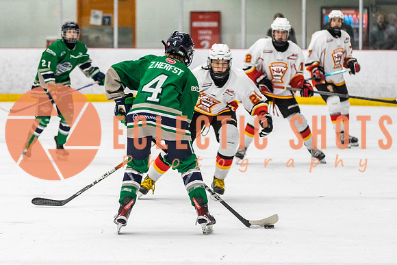2022.11.09CalFlames-FVTBirds-0433