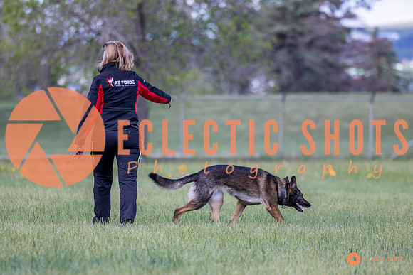 2025-K9Force-MayExams-Kaia-7454