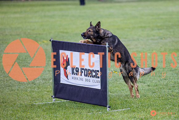 2025-K9Force-MayExams-5579