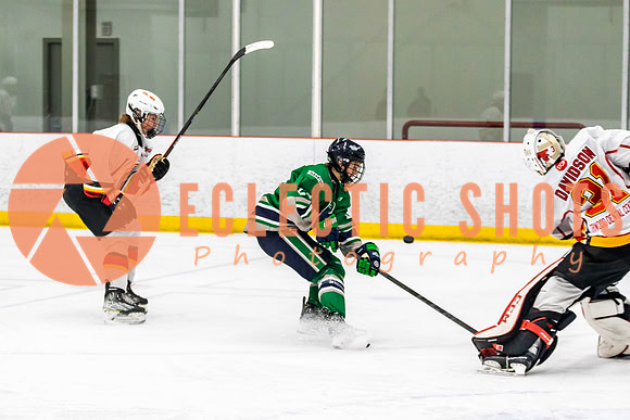2022.11.09CalFlames-FVTBirds-0243