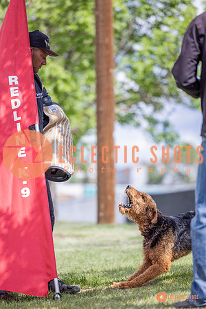 2025-K9Force-MayExams-7741