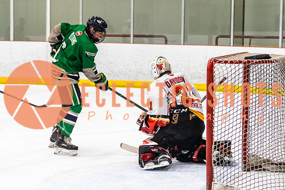 2022.11.09CalFlames-FVTBirds-0317