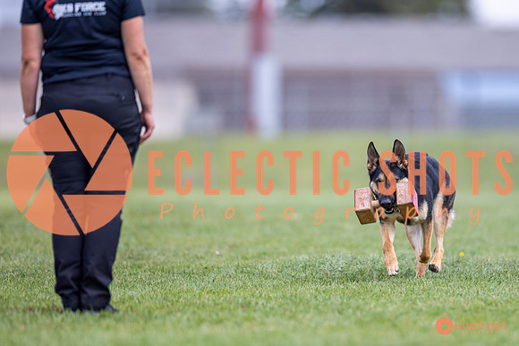 2025-K9Force-MayExams-7083