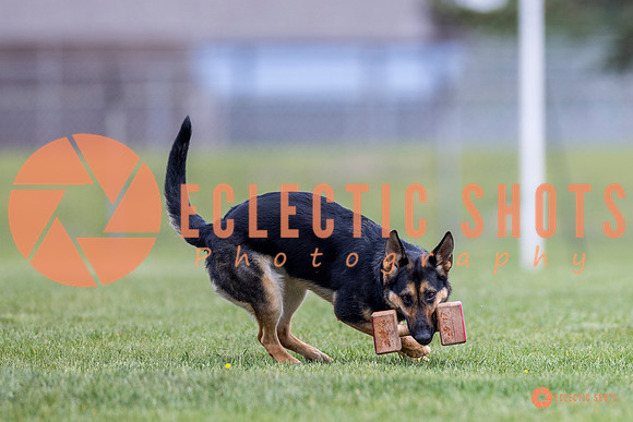 2025-K9Force-MayExams-7056