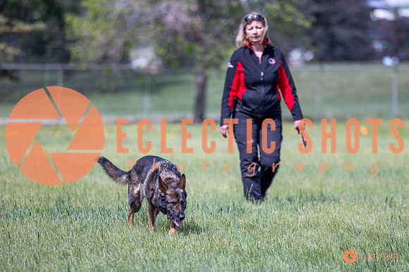 2025-K9Force-MayExams-Kaia-7485
