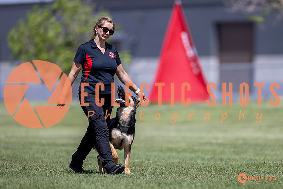2025-K9Force-MayExams-8130