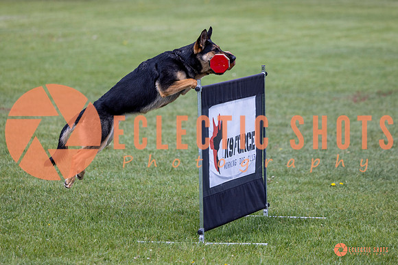 2025-K9Force-MayExams-6170