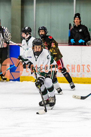 2022.11.11ShPkFlyers-VWGiants-3307
