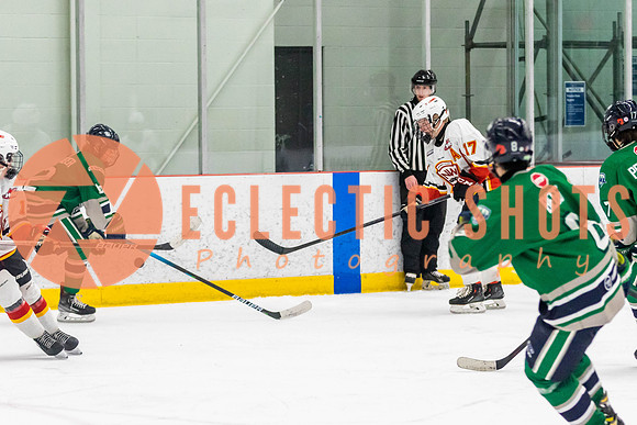 2022.11.09CalFlames-FVTBirds-0417