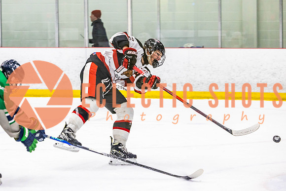 2022.11.11CalBisons-FVTBirds-3961