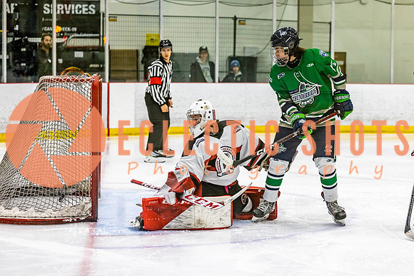 2022.11.11CalBisons-FVTBirds-4042