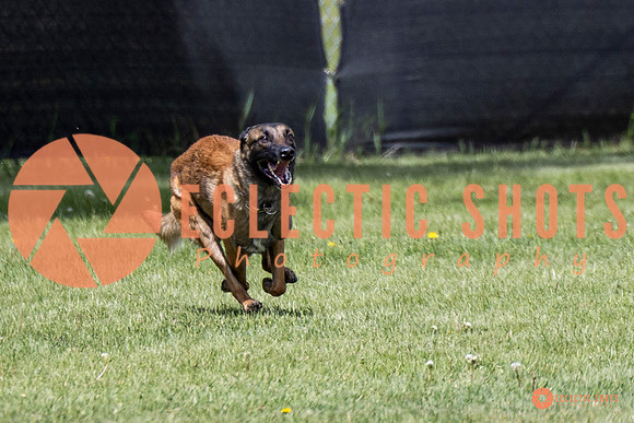 2025-K9Force-MayExams-7652
