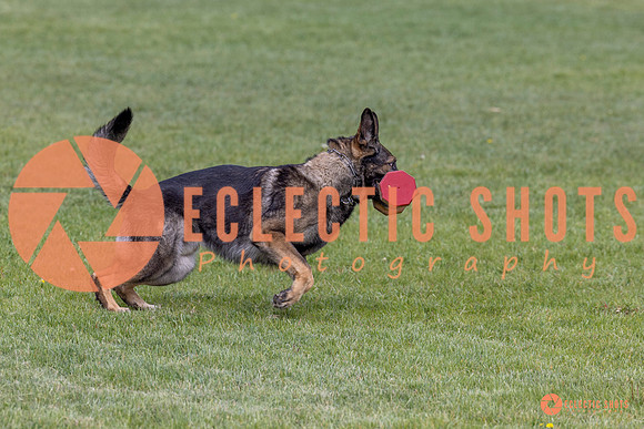 2025-K9Force-MayExams-5863