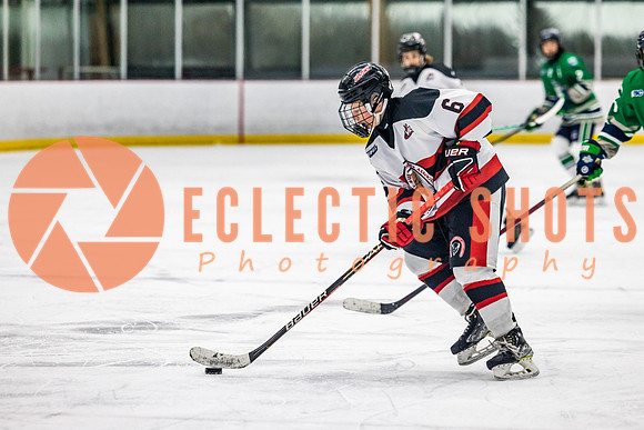 2022.11.11CalBisons-FVTBirds-4119