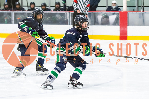 RMC2021-11-12-LloydBobcats-FVT-Birds-6113