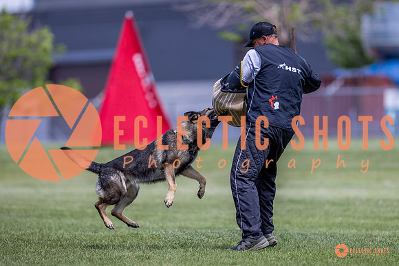 2025-K9Force-MayExams-7764