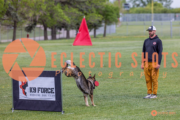 2025-K9Force-MayExams-5899
