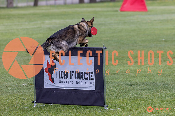 2025-K9Force-MayExams-5891