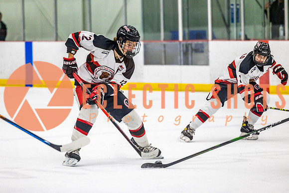 2022.11.11CalBisons-FVTBirds-3990