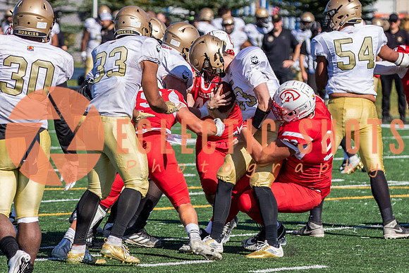 CalgaryColts-1125