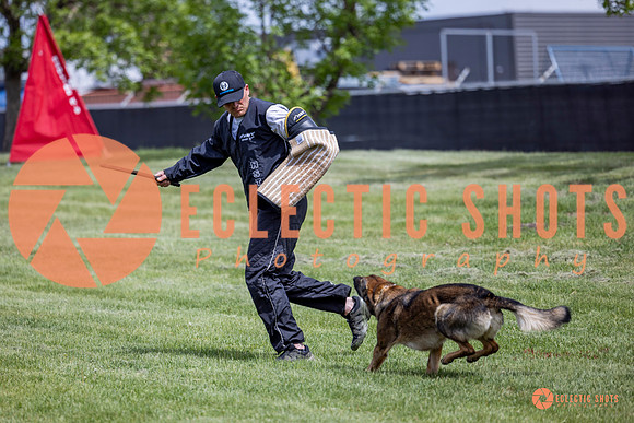 2025-K9Force-MayExams-6411