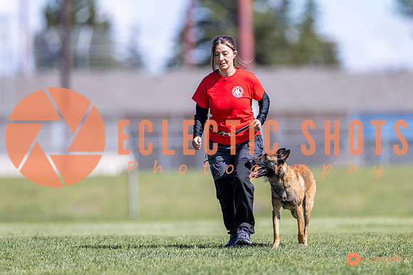 2025-K9Force-MayExams-8170