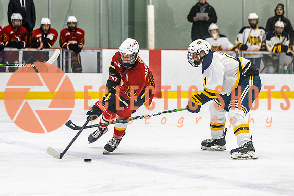 2021-11-13-StAlbertSabres-CalFlames-3859