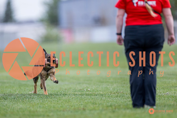 2025-K9Force-MayExams-6133