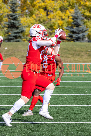 CalgaryColts-8974