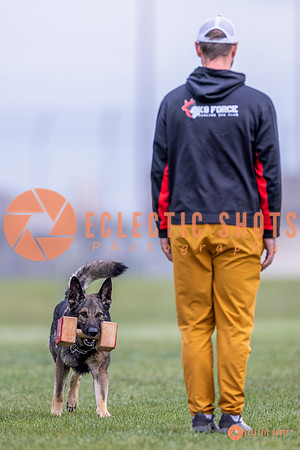 2025-K9Force-MayExams-6632