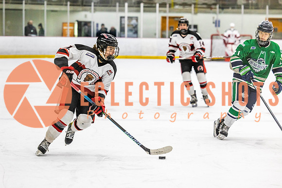 2022.11.11CalBisons-FVTBirds-4124