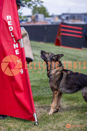 2025-K9Force-MayExams-6892