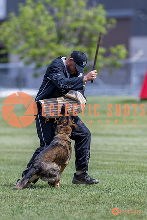 2025-K9Force-MayExams-7368