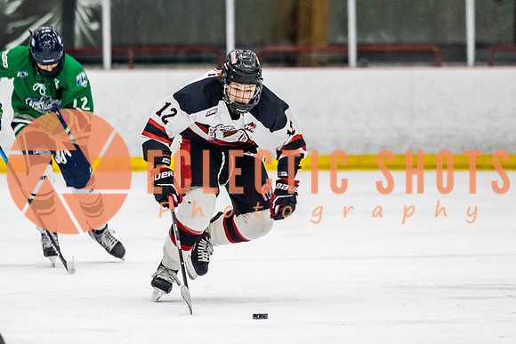 2022.11.11CalBisons-FVTBirds-3986