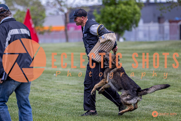 2025-K9Force-MayExams-6952