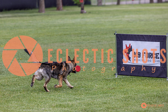 2025-K9Force-MayExams-5879