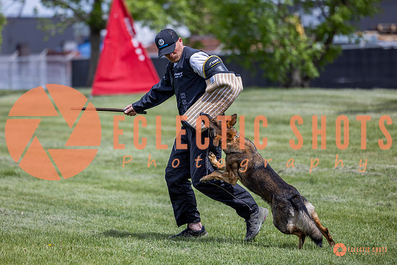 2025-K9Force-MayExams-6415