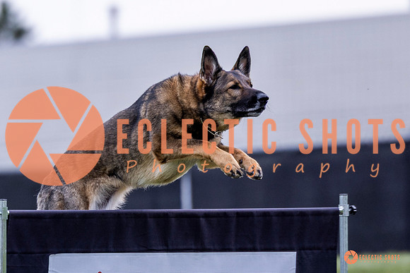 2025-K9Force-MayExams-5426