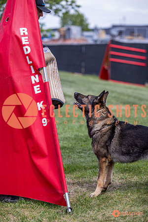 2025-K9Force-MayExams-6902